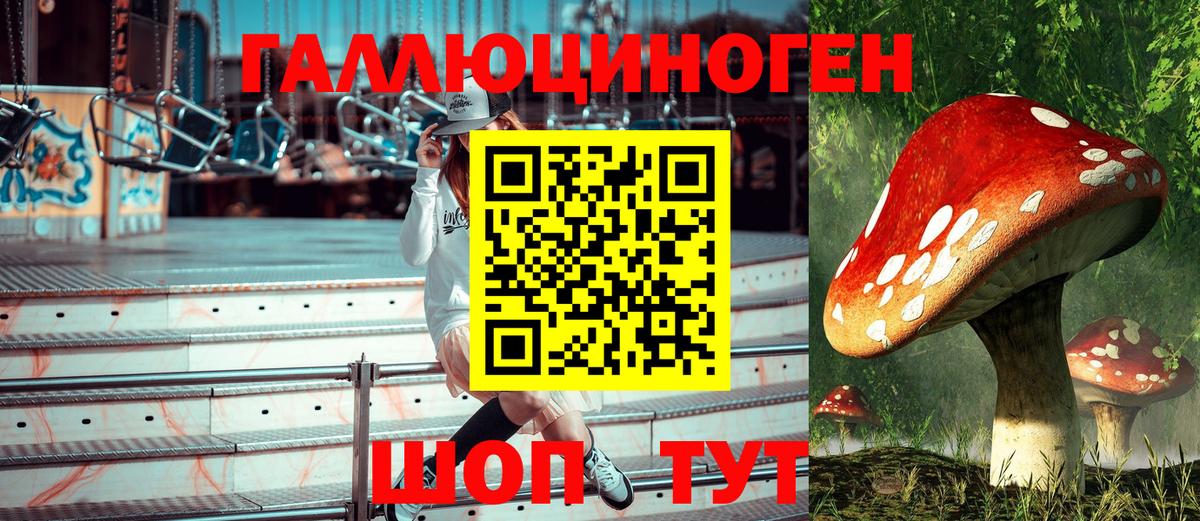 Берёзовский  Галлюциногенные грибы Cubensis  Вход с VPN 