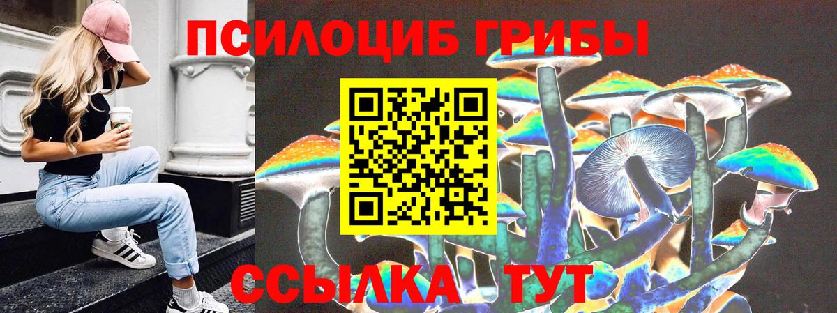 Галлюциногенные грибы ЛСД Берёзовский