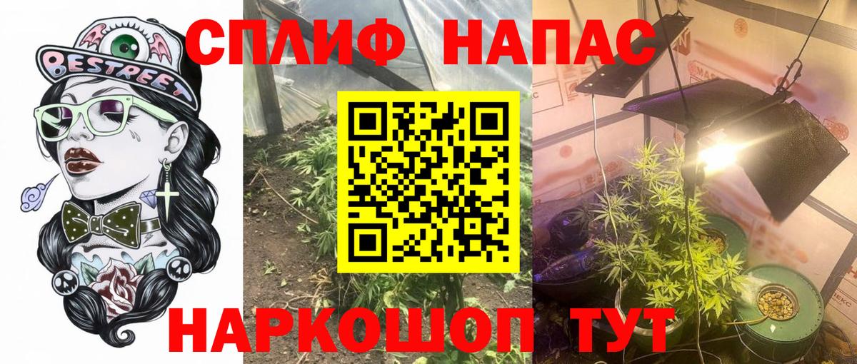 Шишки марихуана конопля Берёзовский